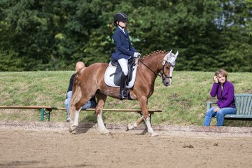 Bild 370 - Pony Akademie Turnier
